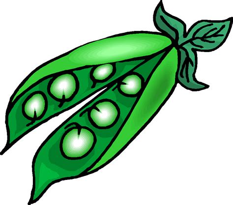 Free Green Bean Cliparts Download Free Green Bean Cliparts Png Images