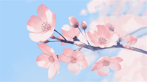 Sakura Trees Flowers 1920x1080 Wallpaper