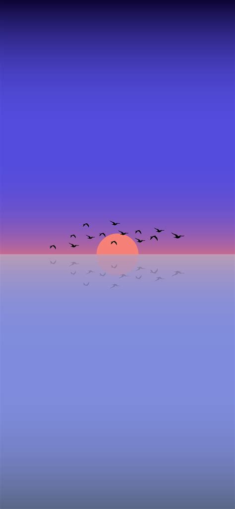 Minimalist Phone Wallpapers Sunset And Birds Flying