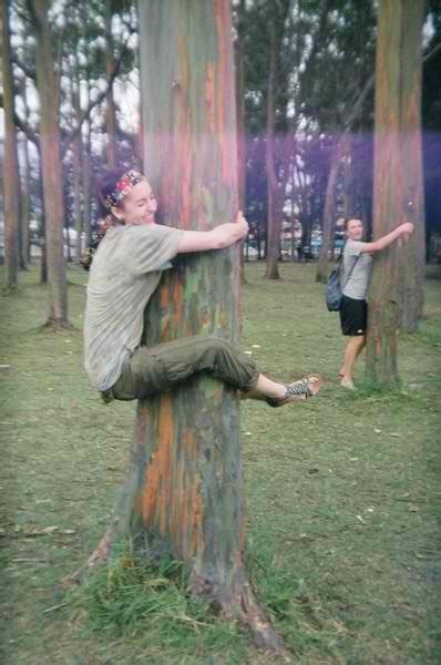 Its Earth Day Hug A Tree Hippie Life Tree Hugger Happy Hippie