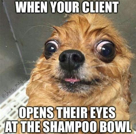 Pin By Krysta Grubaugh On Hilarious Hairstylist Memes Hair Quotes