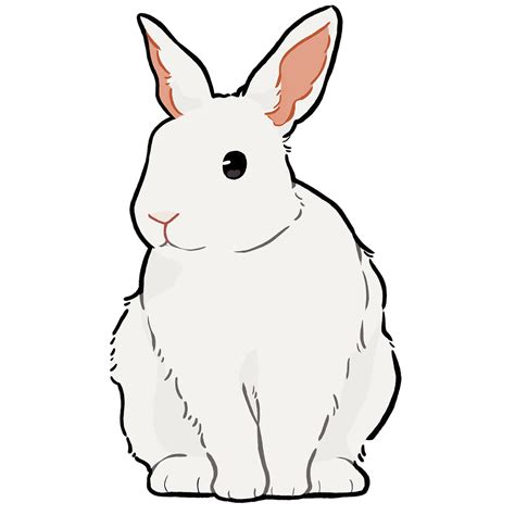 Más De 100 Imágenes Gratis De Bunny Draw Y Conejo Pixabay