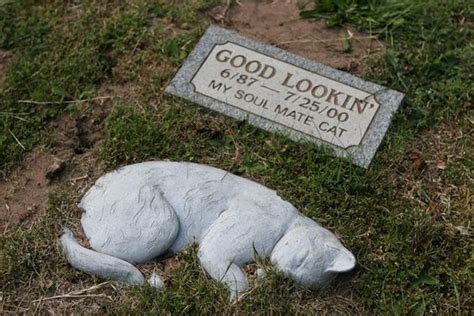 ☠ Gravestones Cats ☠ Pet Cemetary Pet Cemetery Cemetery Art