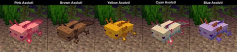 Everything You Need To Know About Axolotl In Minecraft