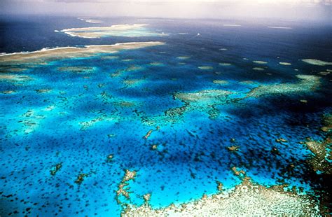 We Can Still Save Great Barrier Reef From Climate Change