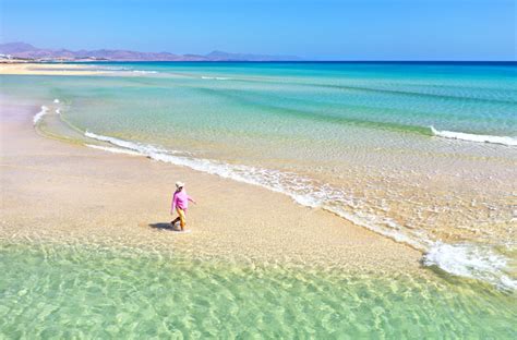 Playa De Sotavento Fuerteventura • 2024 Qué Saber Antes De Ir Go Fuerteventura
