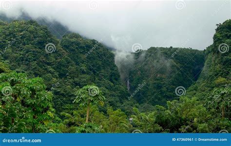 Rainforest In Dominica Stock Image Image Of Clouds Dominica 47360961