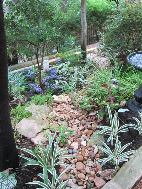 22 Shade Rock Garden Plants Ideas You Cannot Miss Sharonsable