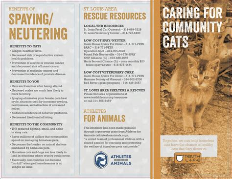 In 2017, the number dropped to 90 per borrow a trap to trap, neuter, return and to to humanely reduce the feral population. Caring for Community Cats | Tenth Life Cat Rescue