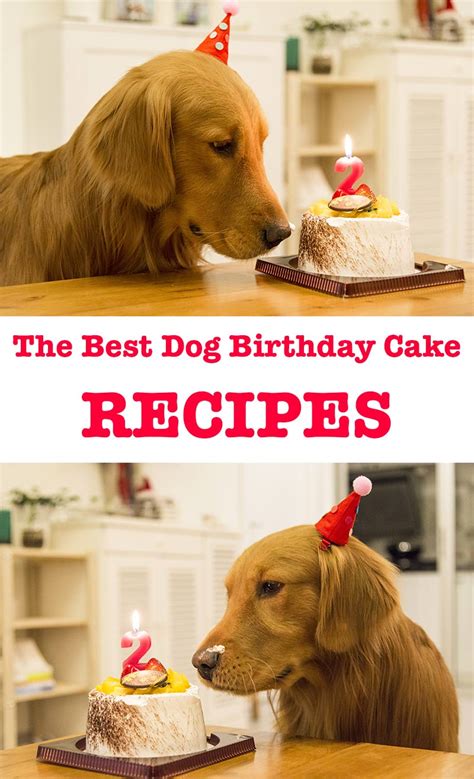 Bake the cake 45 minutes to 1 hour until completely cooked through, then remove the cake from the oven and leave it to cool. Dog Birthday Cake Recipes For Your Pup's Special Day