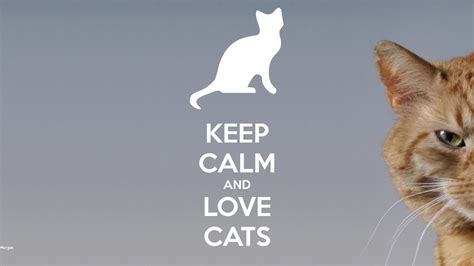 Keep Calm And Love Cats 672 By Morgmonster On Deviantart