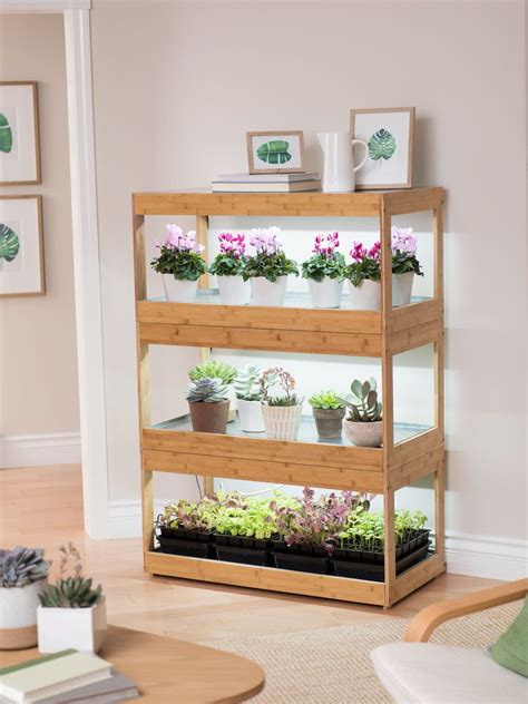 Selecting the best indoor plant with light requirements that match the location can be one of the most important factors in growing a healthy plant. 3-Tier Bamboo Stand with LED Grow Lights for Succulents ...
