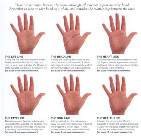 It is believed that the right hand — the dominant hand for most people — represents now and the future, and thus can be changed with. How To's Wiki 88: How To Read Palms Lines