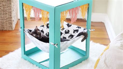 Ensuring that you regularly groom your dog will keep them feeling clean, healthy and comfortable, so it's an essential part of their welfare. 22 Of the Best Ideas for Diy Dog Grooming Hammock - Home Inspiration and Ideas | DIY Crafts ...