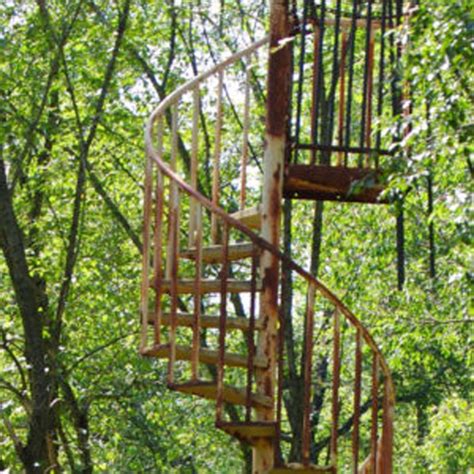 Stairs In The Woods Phenomenon Is Freaking People Out Slapped Ham