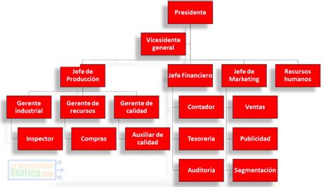 Estrutura Organizacional Organograma Da Coca Cola Porn Sex Picture My