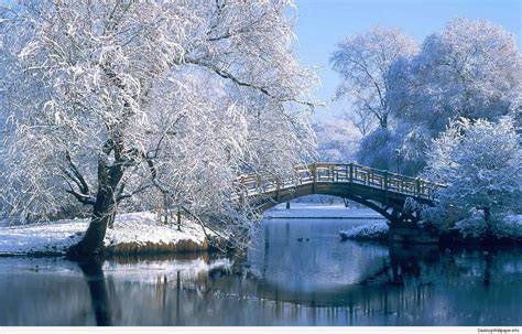Latest Winter Screensavers And Wallpapers Full Hd For Pc Images And Photos Finder