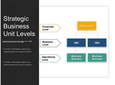 Strategic Business Unit Levels Powerpoint Presentation Examples