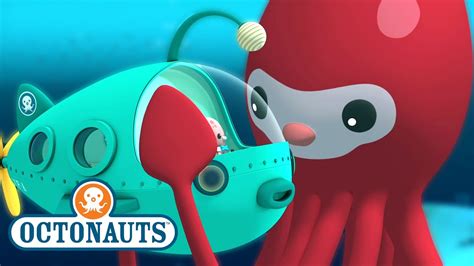 Octonauts The Giant Squid Full Episode 6 Octonautsandfriends