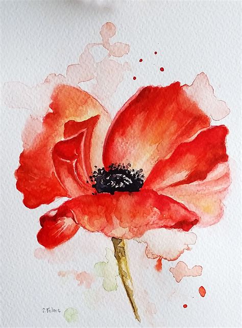 Original Watercolor Red Poppy Flower Floral Watercolor 6x8 Etsy