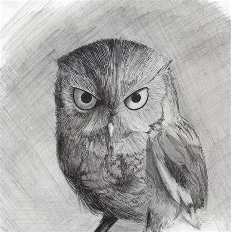Angry Owl Is Angry By Mecha Machi On Deviantart