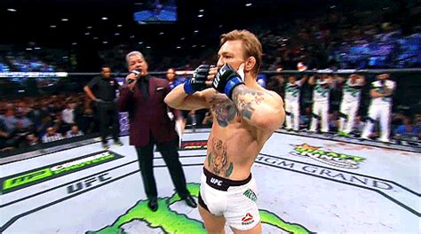 Conor McGregor GIF Find Share On GIPHY Conor Mcgregor Ufc Conor