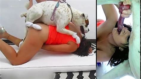 Girl Helps Her Friend Experience Her Bestiality Fuck With A Dog Xxx