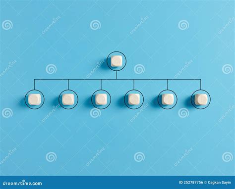 Hierarchical Organizational Structure Of Company Leadership And