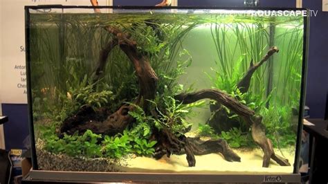 To aquascape is to arrange aquatic plants, stone, caves, and driftwood in a manner that is there is a huge range of styles for your aquascape aquarium, and it has become a very popular hobby. Aquascaping - Aquarium Ideas from Aquatics Live 2012, part ...