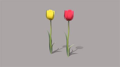 Tulip Download Free 3d Model By Josephwardle C090126 Sketchfab