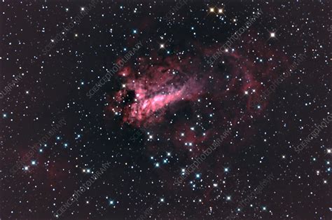 M17 The Swan Nebula Complex Stock Image C0124248 Science Photo