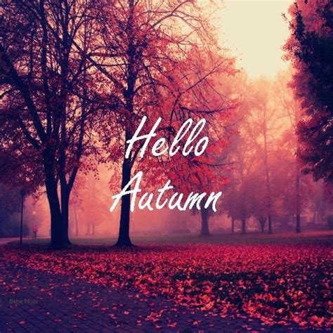Hello Autumn Pictures Photos And Images For Facebook Tumblr