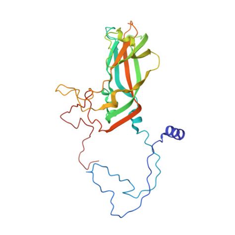 Rcsb Pdb Ayn Human Rhinovirus Coat Protein