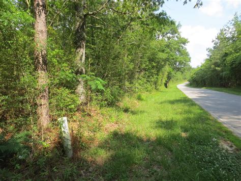 Columbia Marion County Ms Recreational Property Timberland Property