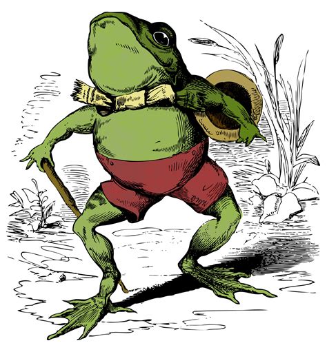 Vintage Frog Drawings