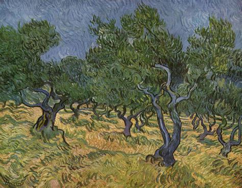 Vincent Van Gogh The Olive Trees Series Tuttart Pittura