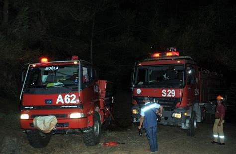Check spelling or type a new query. Milas'taki orman yangını | NTV