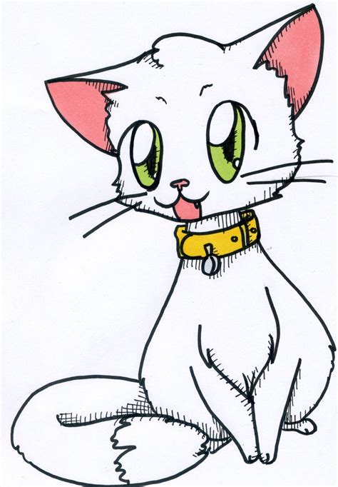 Animae Cats Skeches Free Coloring Animals 20 Coloring Pages For