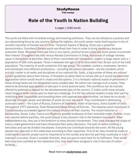 Role Of The Youth In Nation Building Free Essay Example