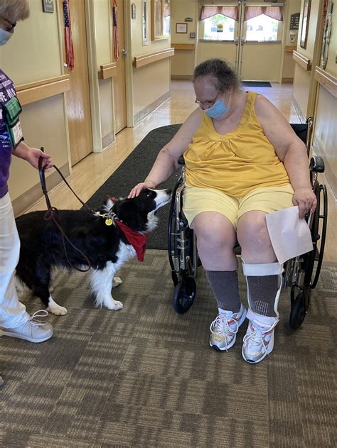 Dog Therapy Bringing Smiles