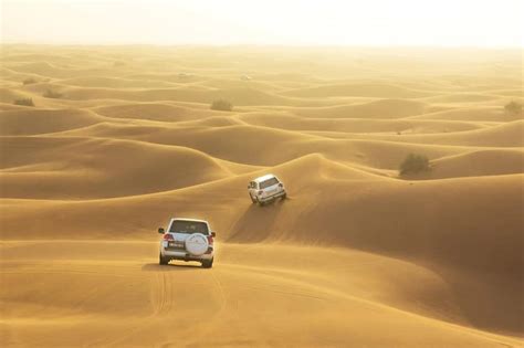 How To Explore The Best Desert Safari Dubai On Budget