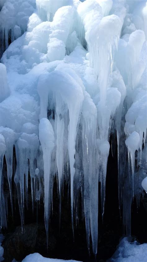 Free Images Water Nature Snow Cold Frost Formation Frozen