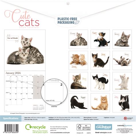 Cute Cats Wall Calendar 2024 Buy From The Blue Cross T Shop