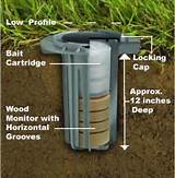 Termite Treatment Baiting Systems Images