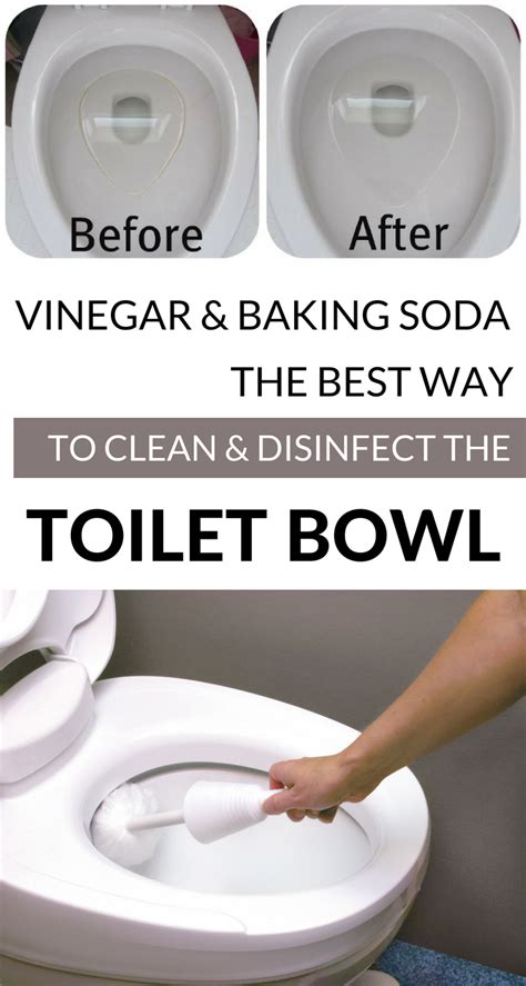 Vinegar And Baking Soda The Best Way To Clean And Disinfect The Toilet Bowl CleaningTips