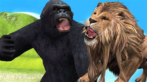 Check spelling or type a new query. Lion King Vs Black King Kong Gorilla | 3D Animal Fights ...