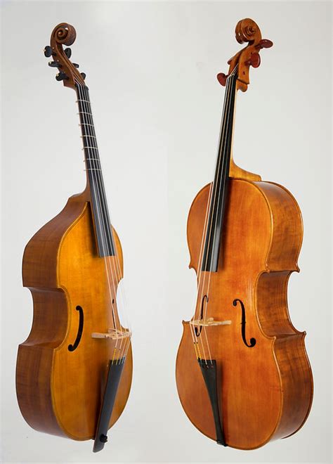 About The Viol Viol Versus Cello Viola Da Gamba Society Of Off