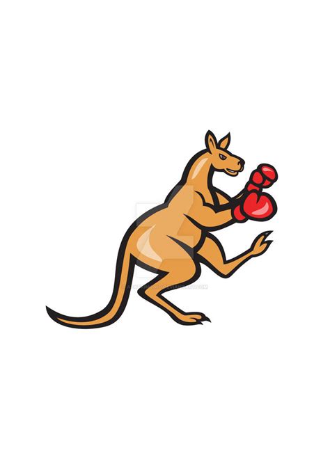 Kangaroo Kick Boxer Boxing Cartoon By Apatrimonio On Deviantart