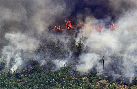 Heres What We Know About The Fires In The Amazon Rainforest Fox 8