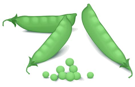 Peas And Pea Pods Clipart Free Download Transparent Png Creazilla